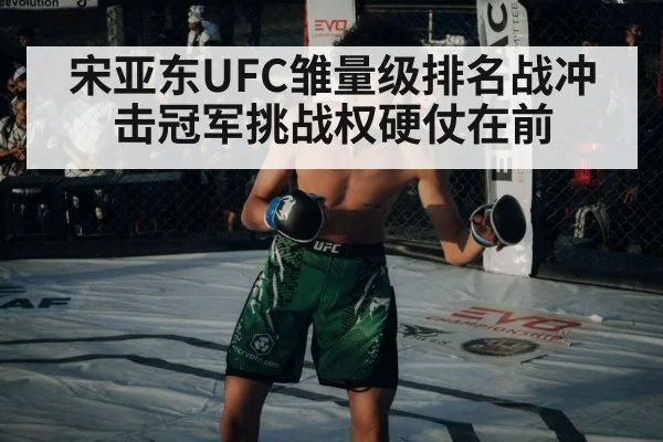 UFC octagon fight
