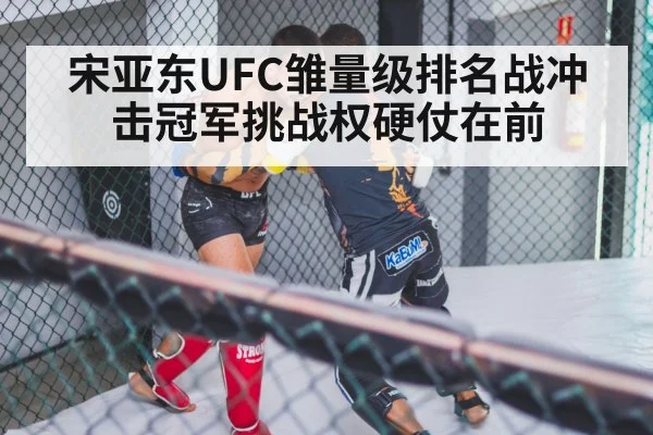 mixed martial arts cage